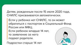 Что такое СНИЛС в России и зачем он нужен в Окей