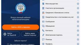 Как добавить декларацию в личный кабинет налогоплательщика в Окей