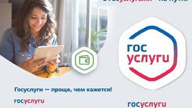 Как оформить адресную помощь через Госуслуги в Окей