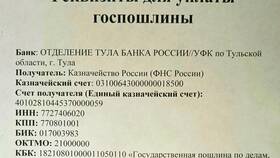 Как оплатить госпошлину в суд по реквизитам в Окей