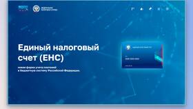 Как оплатить отрицательное сальдо ЕНС в Окей