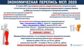 Как подать отчет в Росстат через Госуслуги в Окей