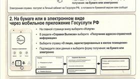 Как получить домовую выписку через Госуслуги в Окей
