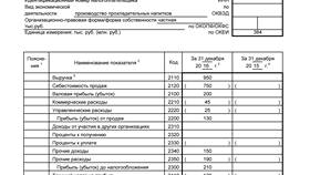 Как правильно заполнять справку о расходах в Окей