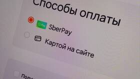 Как заказать пиццу с оплатой наличными в Dodo Пицца в Окей