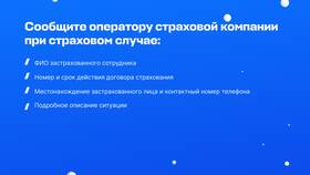 Почему не вернули страховку: причины и порядок действий в Окей