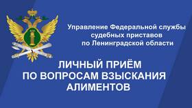 Процедура взыскания алиментов через службу судебных приставов в Окей